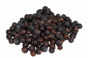 Baies de Genièvre  (1Kg) | Concept Epices