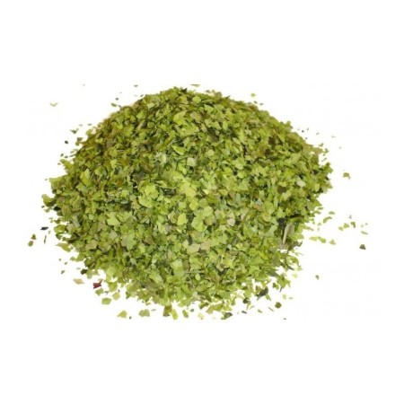 Estragon (1 Kg)
