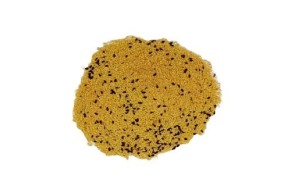 Chapelure panade avec nigelle (1 KG) | Concept Epices