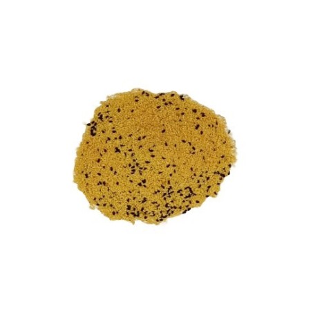 Chapelure panade avec nigelle (1 KG) | Concept Epices