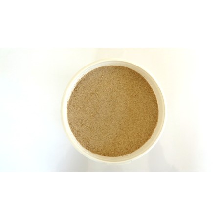 Sauce Morille 7.8 L (700gr) | Concept Epices